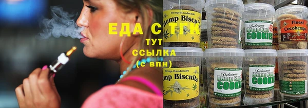 spice Богородицк