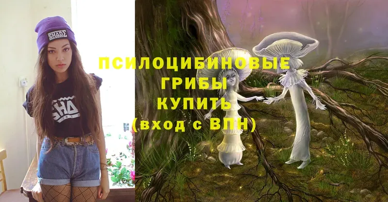 Галлюциногенные грибы Magic Shrooms  цены наркотик  МЕГА ONION  Покровск 